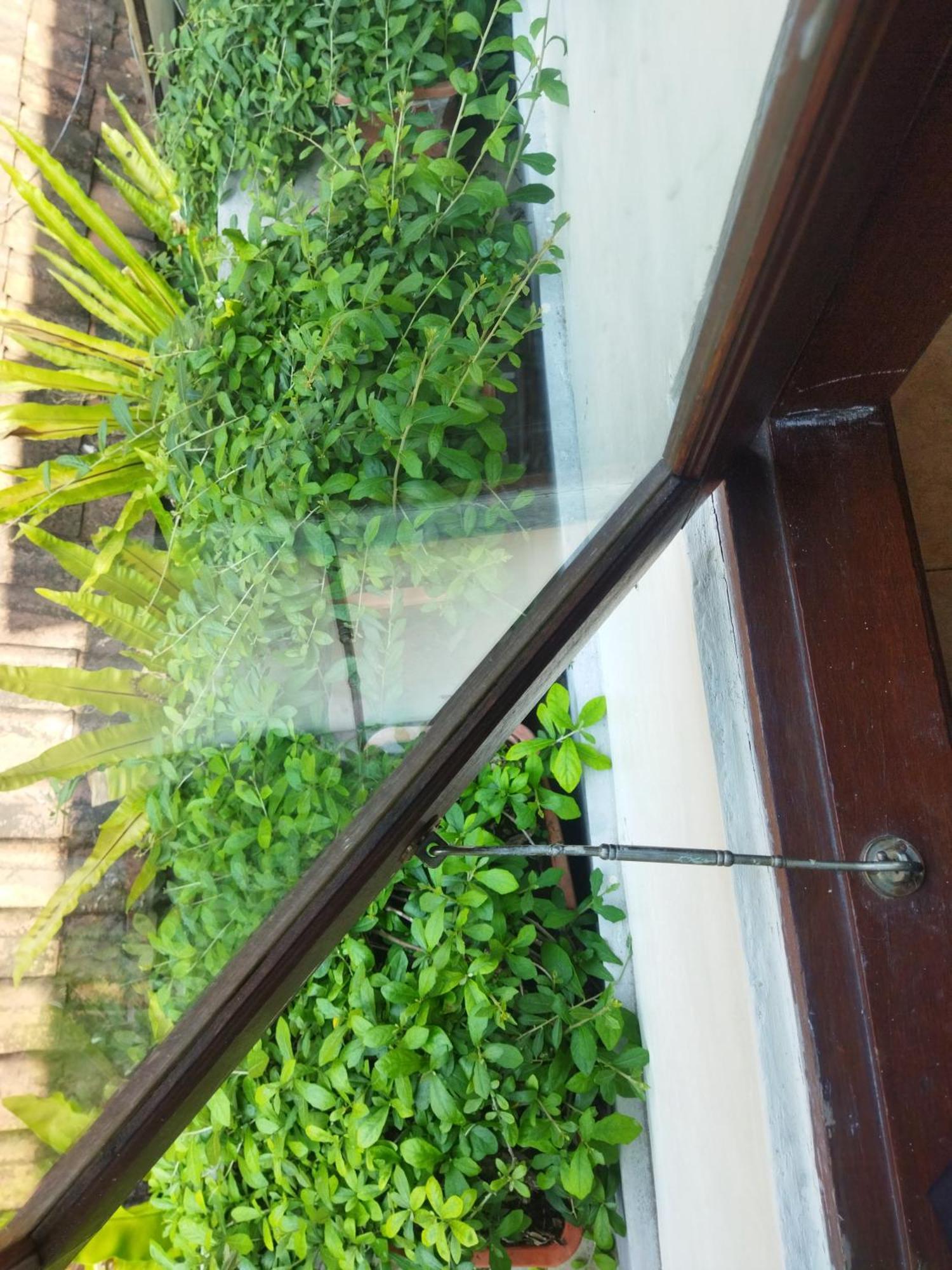 Wahwik'S House Hotel อูบุด ภายนอก รูปภาพ