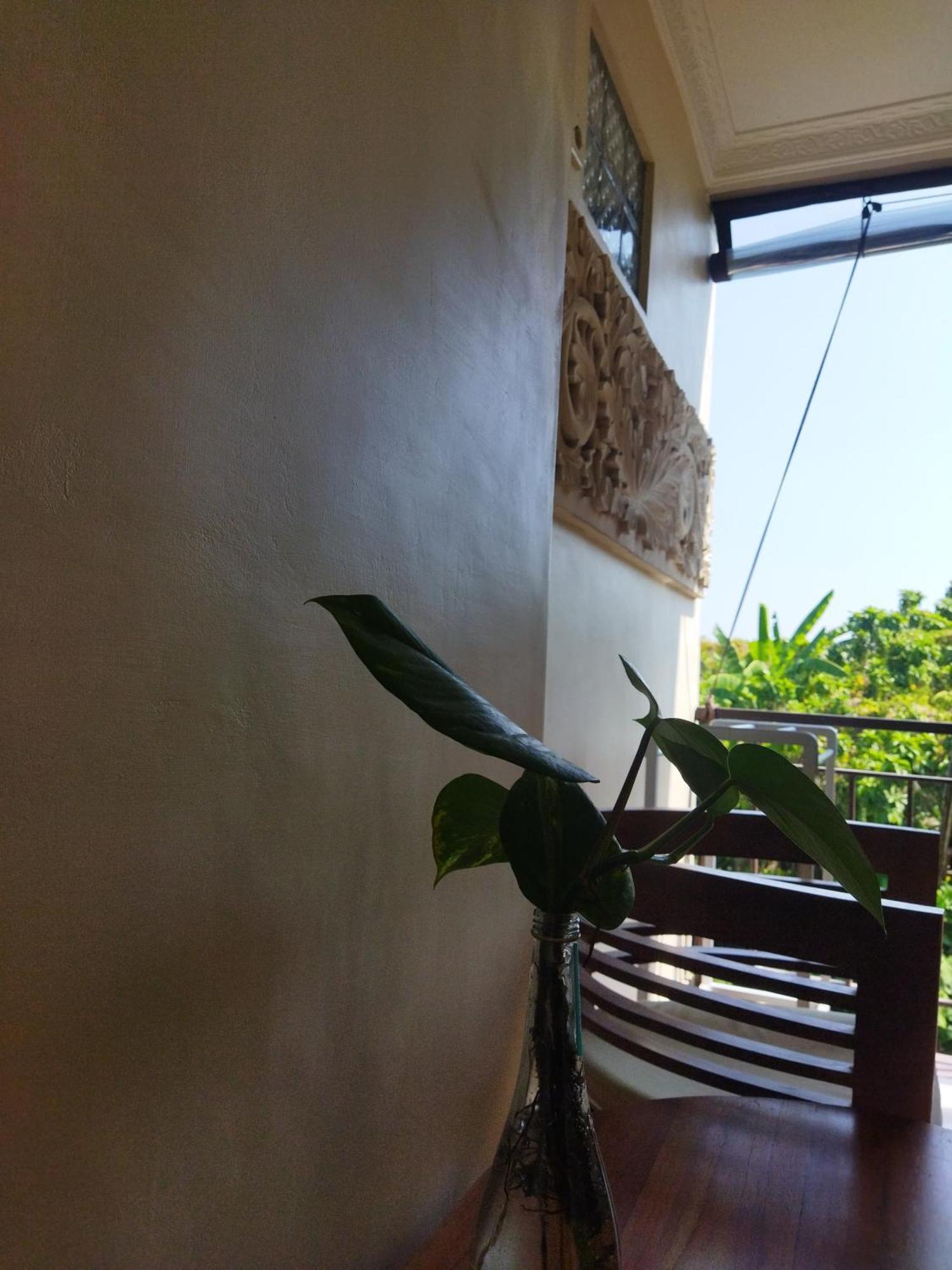 Wahwik'S House Hotel อูบุด ภายนอก รูปภาพ
