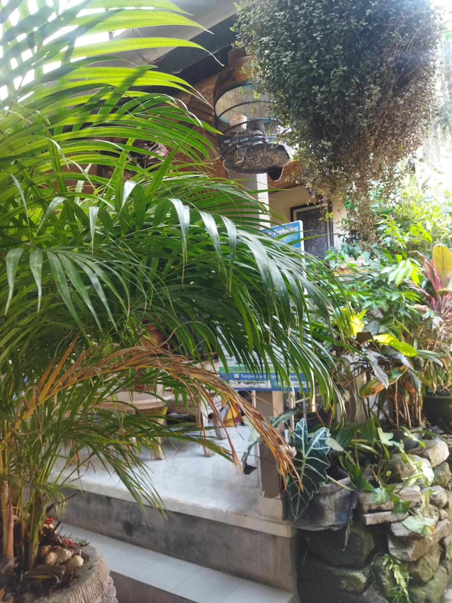 Wahwik'S House Hotel อูบุด ภายนอก รูปภาพ