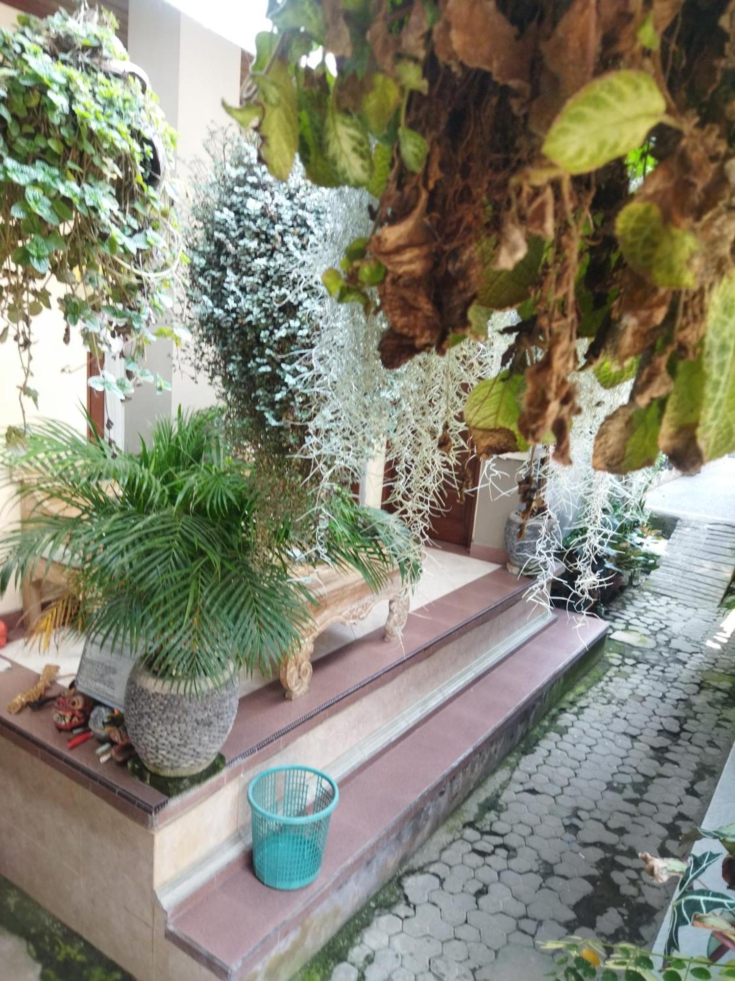 Wahwik'S House Hotel อูบุด ภายนอก รูปภาพ