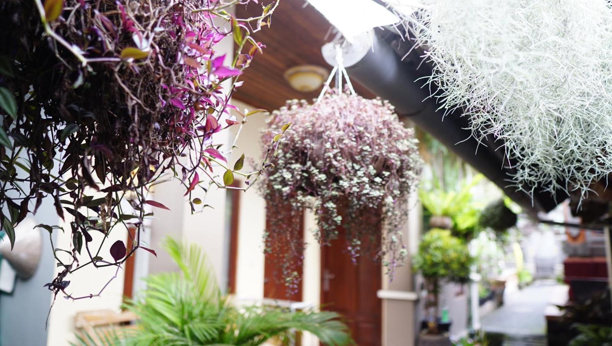 Wahwik'S House Hotel อูบุด ภายนอก รูปภาพ